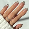 Polar Night - Silver Ombre French Tip